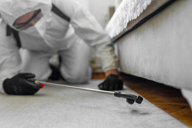 Professional Bed Bug Control technician working in East Douglas, MA