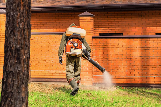 Trusted Termite Control service in East Douglas, MA - Nex Pest Control